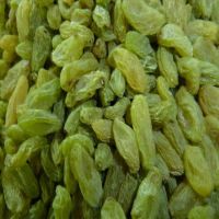 Wholesale Low Prices Bulk Green Sultana Raisin Green Grape Seedless Raisins Supplier