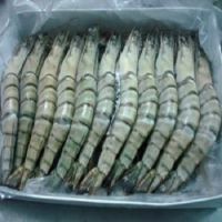 Frozen Shrimps from South Africa