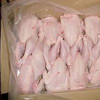 Halal Whole Frozen Chicken/ Frozen Chicken Feet...