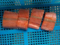 IQF frozen fish fillet frozen pink salmon fillet skinless bonelss
