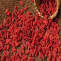 dried goji berries for sale