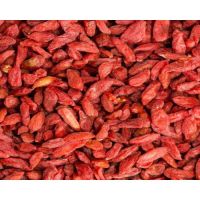 Organic Certified Air/Sun Dried Goji Berries High Quality