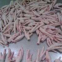 Halal Grade A Chicken Feet / Frozen Chicken Paws/CHicken Wings Ready to Export
