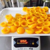 Canned Yellow peaches halves in light syrup 3000G