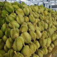 Fresh Durians frozen musang king durian