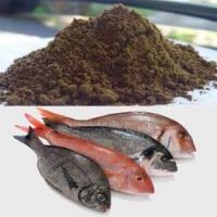 FISHMEAL/ FISHMEAL POWDER/FISH MEAL FOR ANIMAL FEED/ PROTEIN 60%