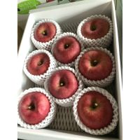 Fresh Fuji apples from South Africa