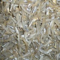 Fresh Dried Frozen Black Tiger Shrimps Vannamei Shrimp White Shrimps