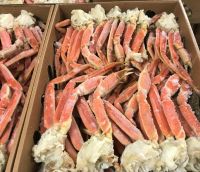 Frozen Snow Crab Legs/Whole(boiled/frozen)