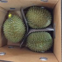 Fresh Durian Fruit From South Africa