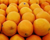 Fresh Navel Oranges from South Africa