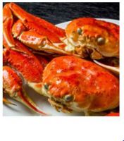 Highest Quality Seafood Red Live Snow Crab For Sale From South Africa