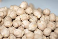 Chickpeas Kabuli for sale