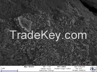 Silver nanopowder with organic shell