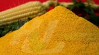 High quality corn gluten meal for feed additives CAS 66071-96-3