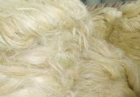 Well Brushed Sisal Fiber UG Grade 3 from Kenya