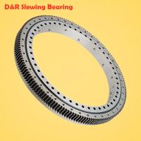 entertainment equipment slewing bearing, 50Mn, 42CrMo slewing ring, swing bearing for amusement equipment