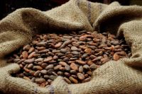 cocoa beans