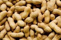 Peanuts (Groundnuts)