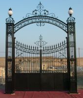 Beautiful iron driveway gate