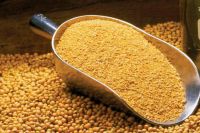 Soybean Meal (With A 50% Soy Protein)