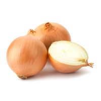 Quality Fresh Onions