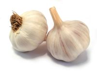 Fesh Garlic