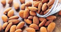 Californian Almond Nuts Price / Almond Kernel / Almond Wholesale Price For Sale