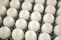 Fresh Table White & Brown Chicken Eggs