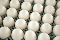 White Table Eggs