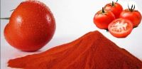 Spray Dried Tomato Powder, SD Tomato Powder, Tomato Powder, Seasoning Tomato Powder, 40 Mesh Tomato Powder, High Quality Tomato Powder