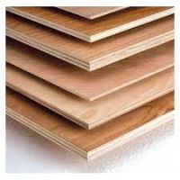 Pine/Spruce /Birch/Beech Plywood