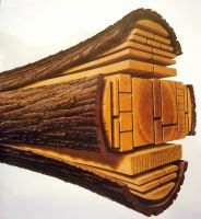 Sawn Pine/Spruce Beech and Birch Lumber