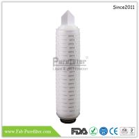 PES Membrane Pleated Filter Cartridge