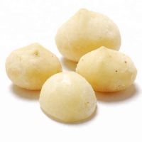 High Quality Macadamia Nuts/Macadamia Nut Kernels