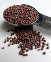 Black & Yellow  Mustard Seeds