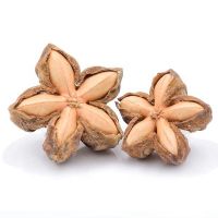 Organic Sacha Inchi Nuts