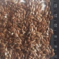 FLAX SEED (Lin Seed )