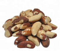 High Quality Brazil Nut With Best Price