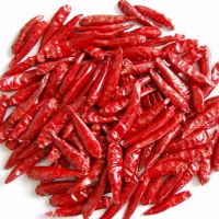 Dried whole Red Chili pepper