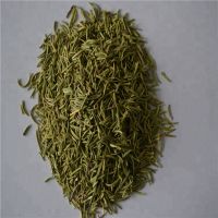 Rosemary leaves Extract