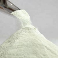 Food Additives Lactose powder