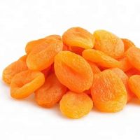 Wholesale Bulk Dried apricot