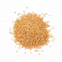 Top Quality Amaranth best prices