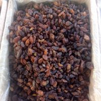 High Quality Low Price Dried Organic Sultanas