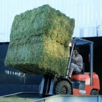 HIGH QUALITY ALFALFA HAY FOR SALE