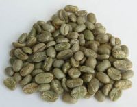 Green Arabica Coffee Beans