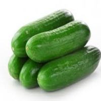 Long Fresh Cucumber/ Round Fresh Cucumber