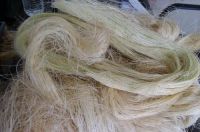 Natural UG Grade Sisal Fiber