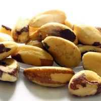 Brazil Nuts